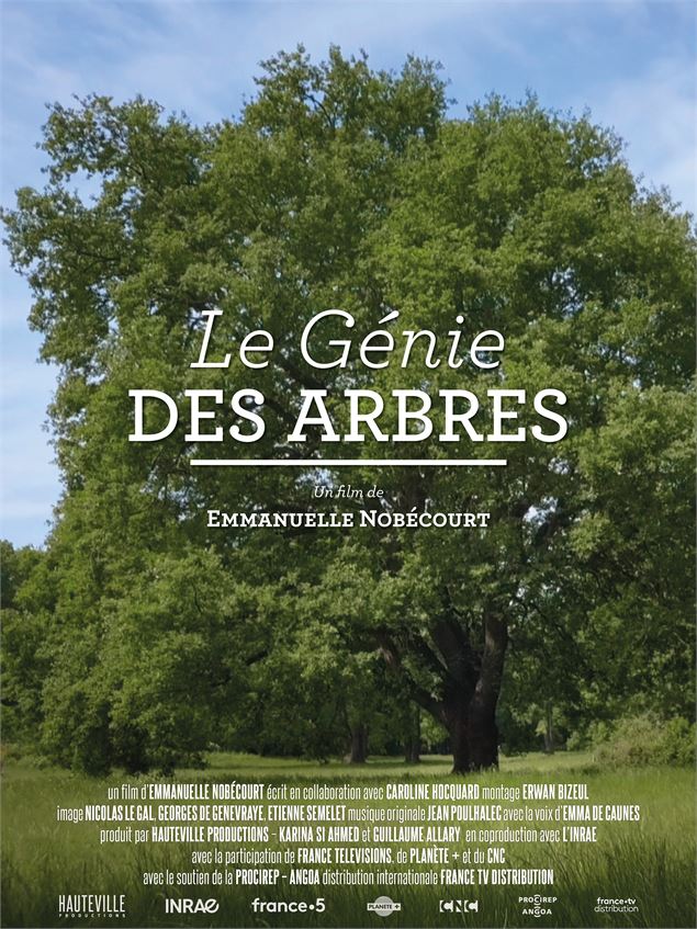génie des arbres - Hauteville Productions