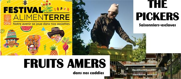 Conférences , échanges : The Pickers - Fruits Amer - Festival alimenterre
