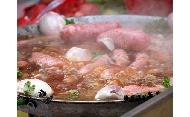 Diots - Libre de droits