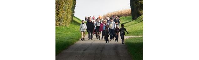 Marche tranquille - Artémis