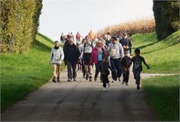 Marche tranquille - Artémis