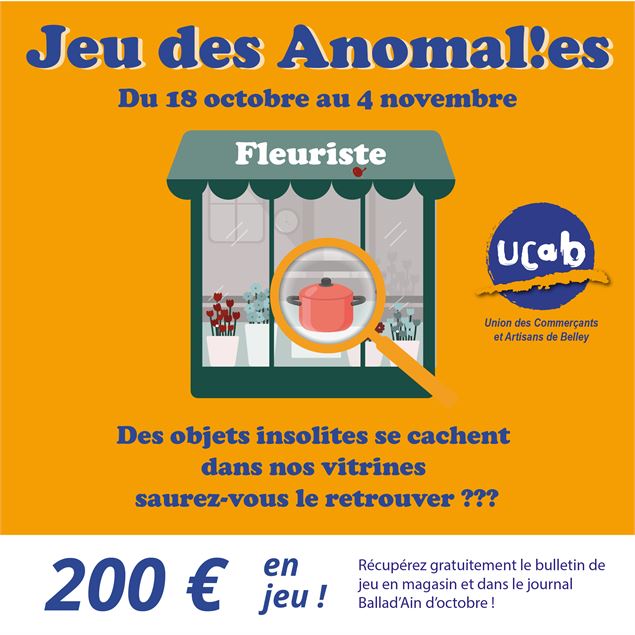 jeu anomalies vitrine 2025 - ucab