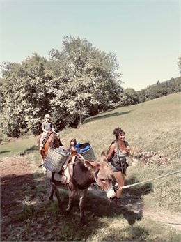 Un âne en sortie cueillette - La Ferme des Briffes