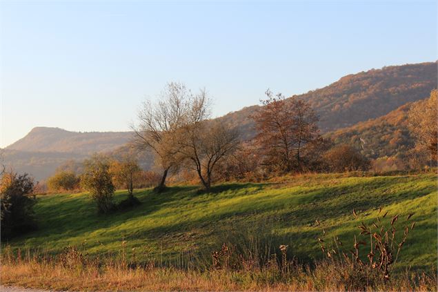 Champagneux - OT Val Guiers