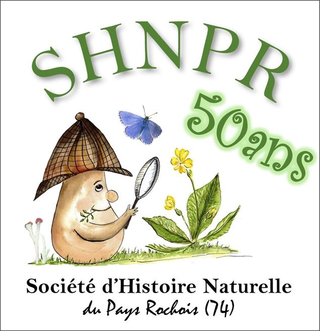 Exposition et atelier autour des champignons - Médiathèque de Cluses_Cluses