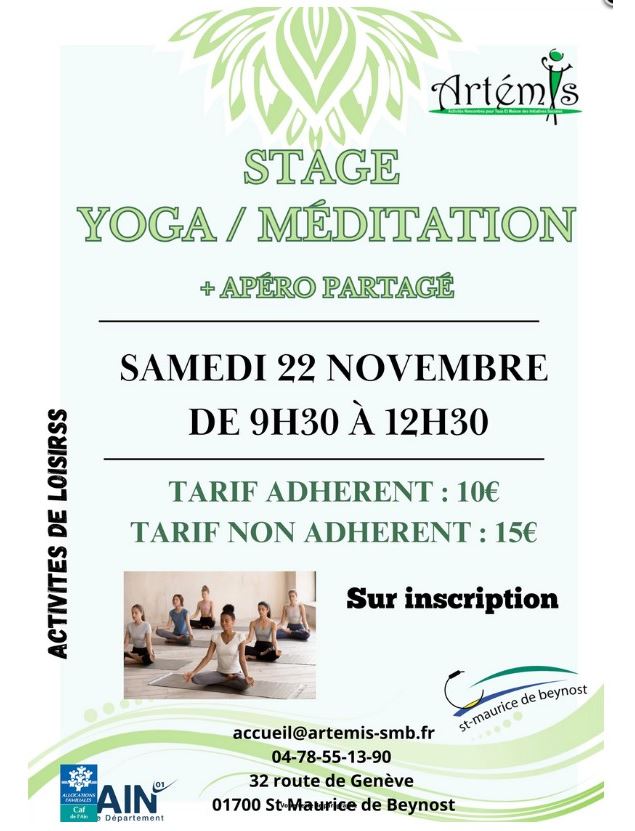 Stage yoga/méditation et apéro partagé - Artémis