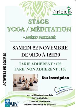 Stage yoga/méditation et apéro partagé - Artémis