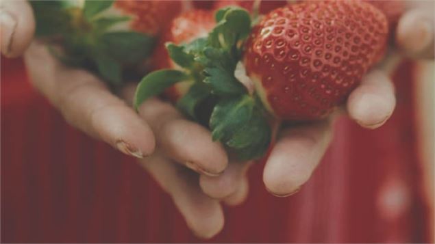 The Pickers - Fruits amers : projection du film d'Elke Sasse_Bourg-Saint-Maurice