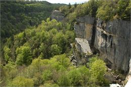 Vallée de la Valserine et réserve depuis le Pont des Pierres - Robin LETSCHER