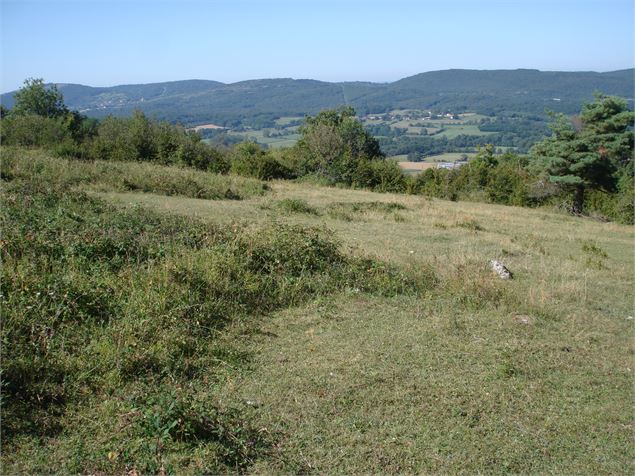 Pelouse sèche de la réserve naturelle nationale - Robin Letscher