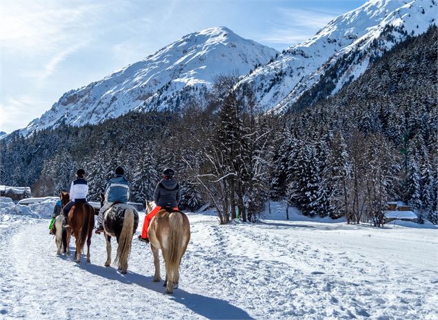 Promenades à cheval - Marina Kokkelink