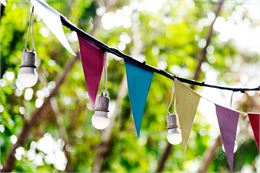 Fête du village_Francheleins