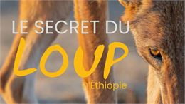 Projection de documentaire : " Le secret du loup d'Ethiopie "_Marignier