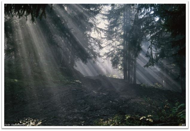 Exposition de photographies 