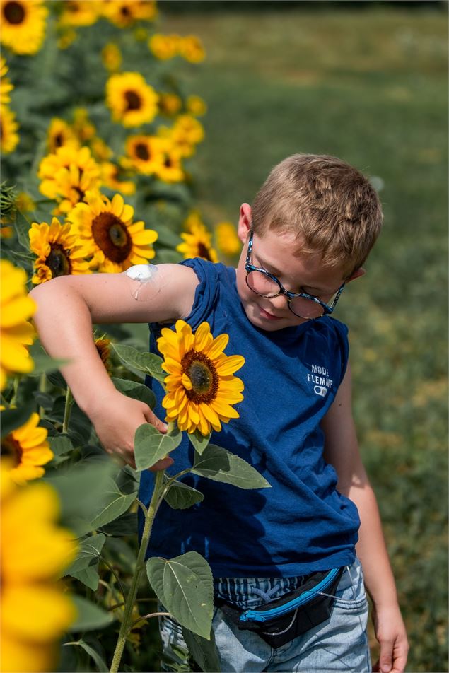 Illustration - Marine Permingeat