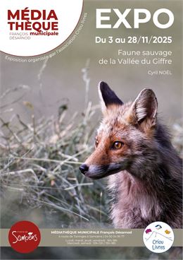 EXPO PHOTO "Faune sauvage de la vallée du Giffre" par Cyril NOËL_Samoëns
