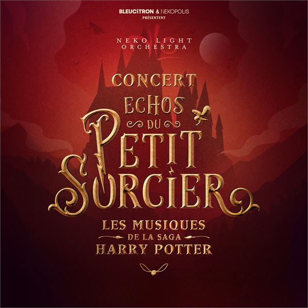 Concert aux bougies “Echos du petit sorcier”_Saint-Martin-de-Belleville