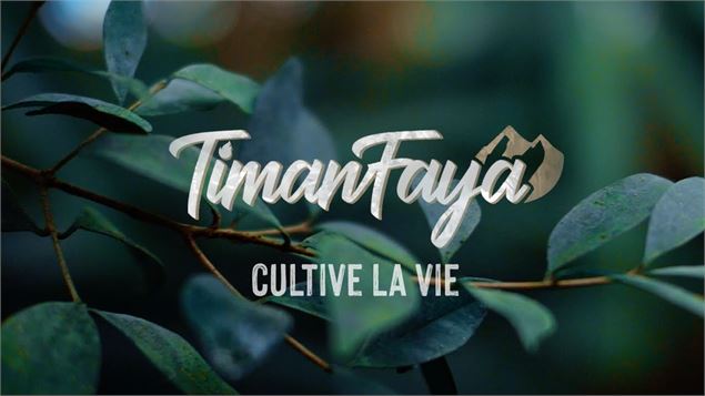 Concert Timanfaya au Carpédiem_Les Carroz-d'Arâches