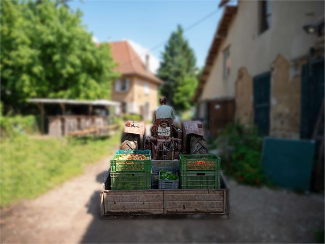 Ferme - A travers champs