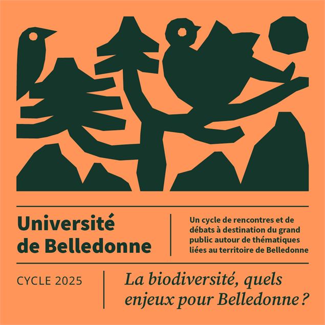 Université de Belledonne