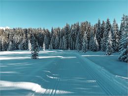 Ski nordique en nocturne_Thônes - Mathilde Sauvage - OT Manigod