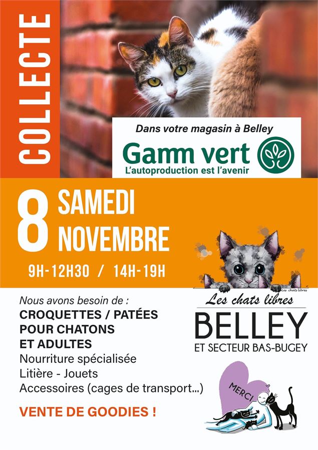 Collecte de nourriture et objets pour chatons et chats_Belley - Chats Libres de Belley