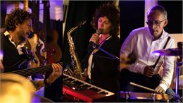 Yankees in Love 2025 - F.Pélissier