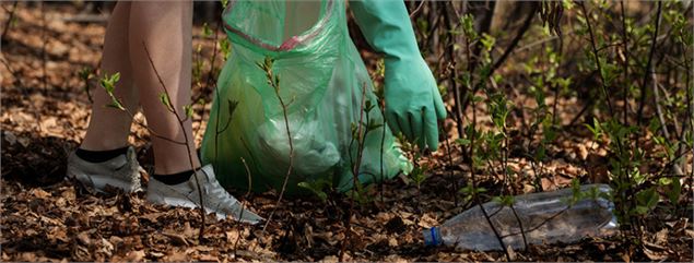 photo - ©Anastasia Gepp sur Pixabay