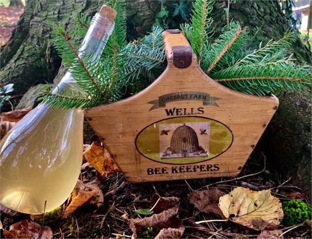 Flacon de sirop de sapin et branche de sapin - Michel Rostalski