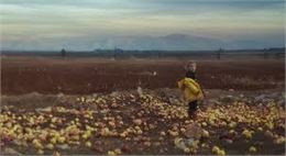 Projection : Seeds of dignity - Festival Alimenterre - AQCV