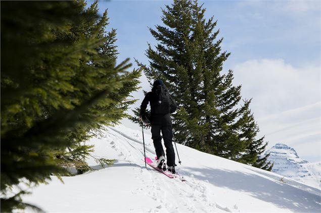 Sortie en ski de randonnée à la Pointe de Chésery (remplacé par Pointe de Vorlaz)