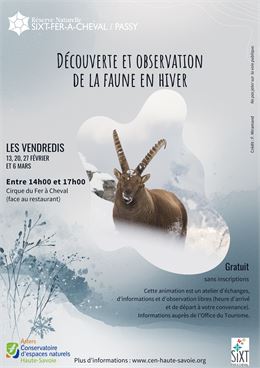 Découverte et observation de la faune en Hiver._Sixt-Fer-à-Cheval