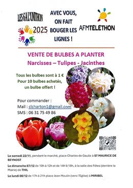 Le Téléthon: vente de bulbes à planter - Mairie St Maurice de Beynost