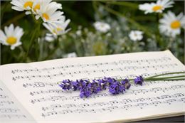 Concert - Pixabay.com