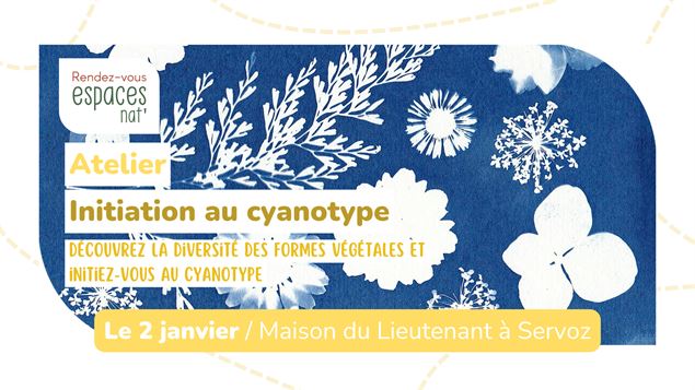 Atelier - Initiation au cyanotype_Servoz