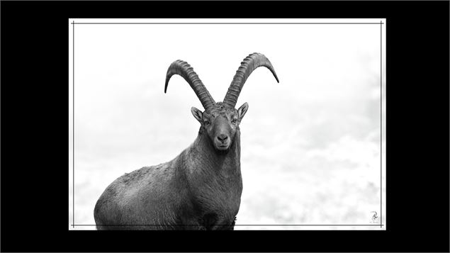 Expo Photo_Les Houches