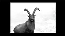 Expo Photo_Les Houches