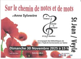 concert Anne Sylvestre N°2 - C. Meunier