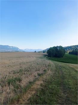 Marche bien-être - J.GAUTHIER