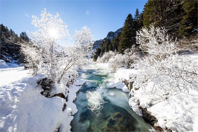 Rallye photo sur la réserve naturelle du Plan de Tuéda_Méribel