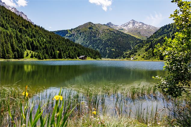 Rallye photo sur la réserve naturelle du Plan de Tuéda - ©Sylvain Aymoz