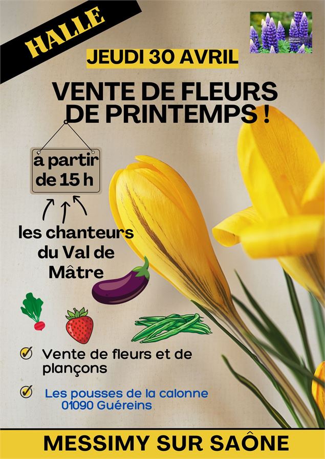 Vente de fleurs et plançons de printemps_Messimy-sur-Saône