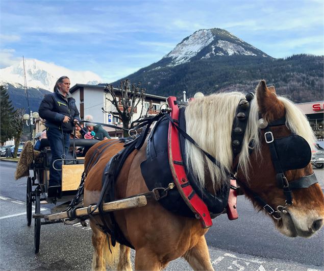 Tour en calèche - Bozel - Vallée de Bozel Tourisme
