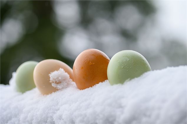 Oeufs colorés dans la neige - Pixabay
