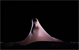 Photographie - 10kg - Juliette Besançon