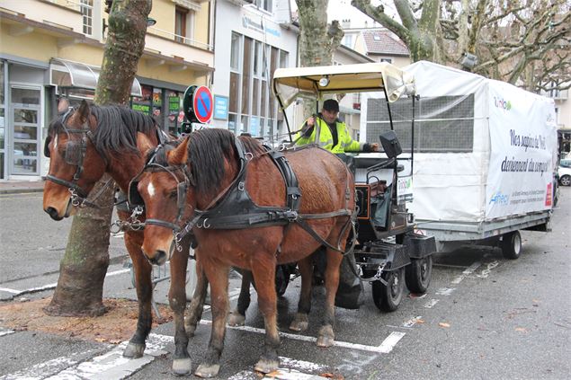 Collecte des sapins de Noël à cheval - Mairie d'Aix-les-Bains
