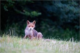 Exposition photo_Torcieu - Pascal Sonnery