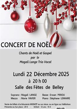 Concert de Noël_Belley - Orgues de Belley