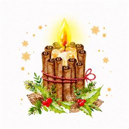 Décorations d'Hiver