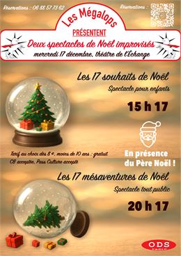 Les 17 souhaits de Noël_Annecy - Les Mégalops